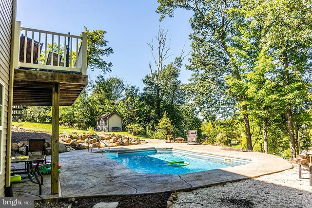 a view of a big yard with plants and large trees