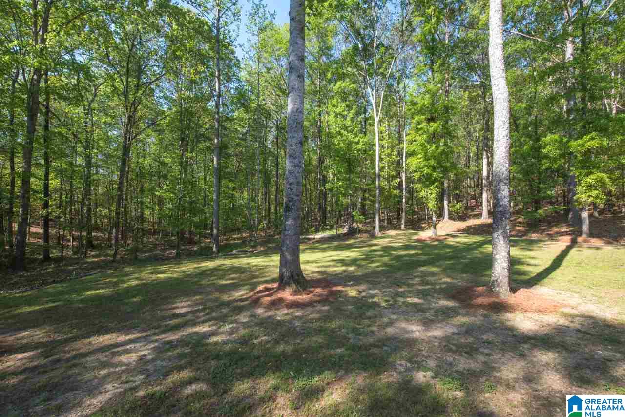 1001 Stoneykirk Road Pelham, AL 35124 - Photo 30 of 46