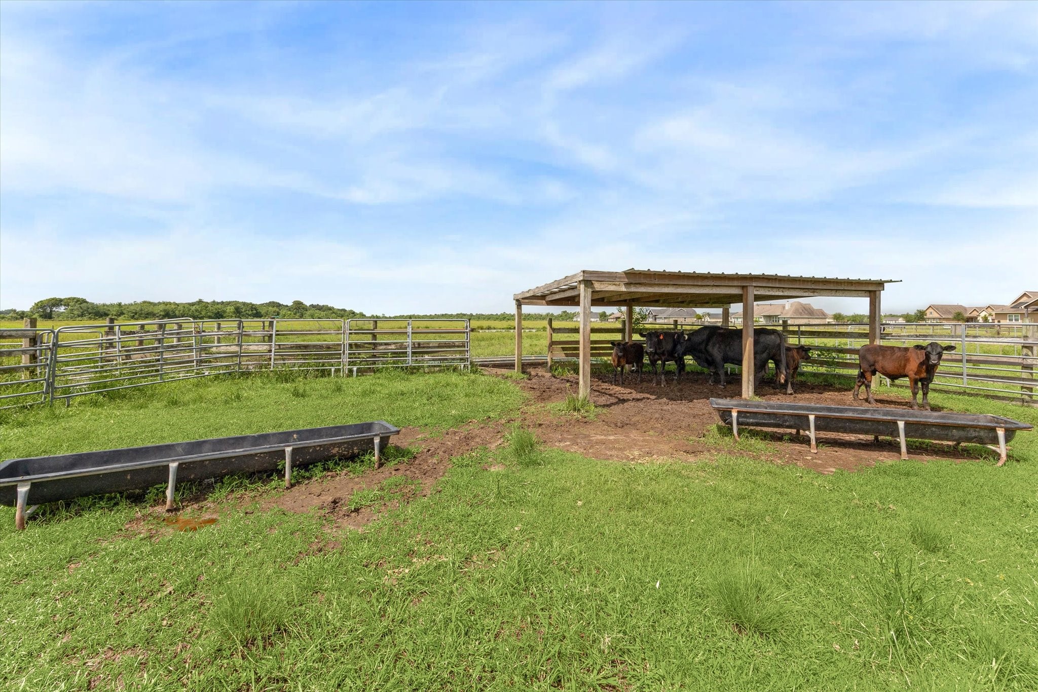 3850 Farm To Market 2917 Alvin, TX 77511 - Photo 29 of 30 a view of a bench in the garden near a lake