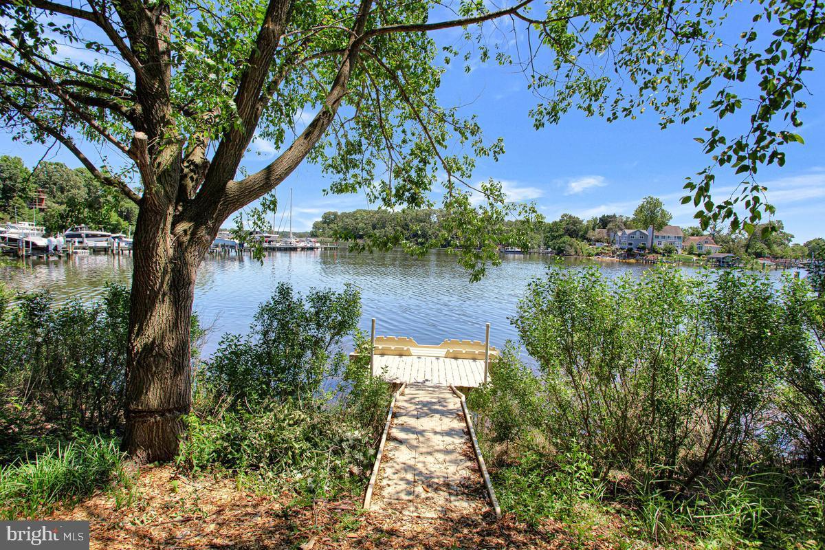 980 South River Landing Road Edgewater, MD 21037 - Photo 71 of 76 Kayak Launch