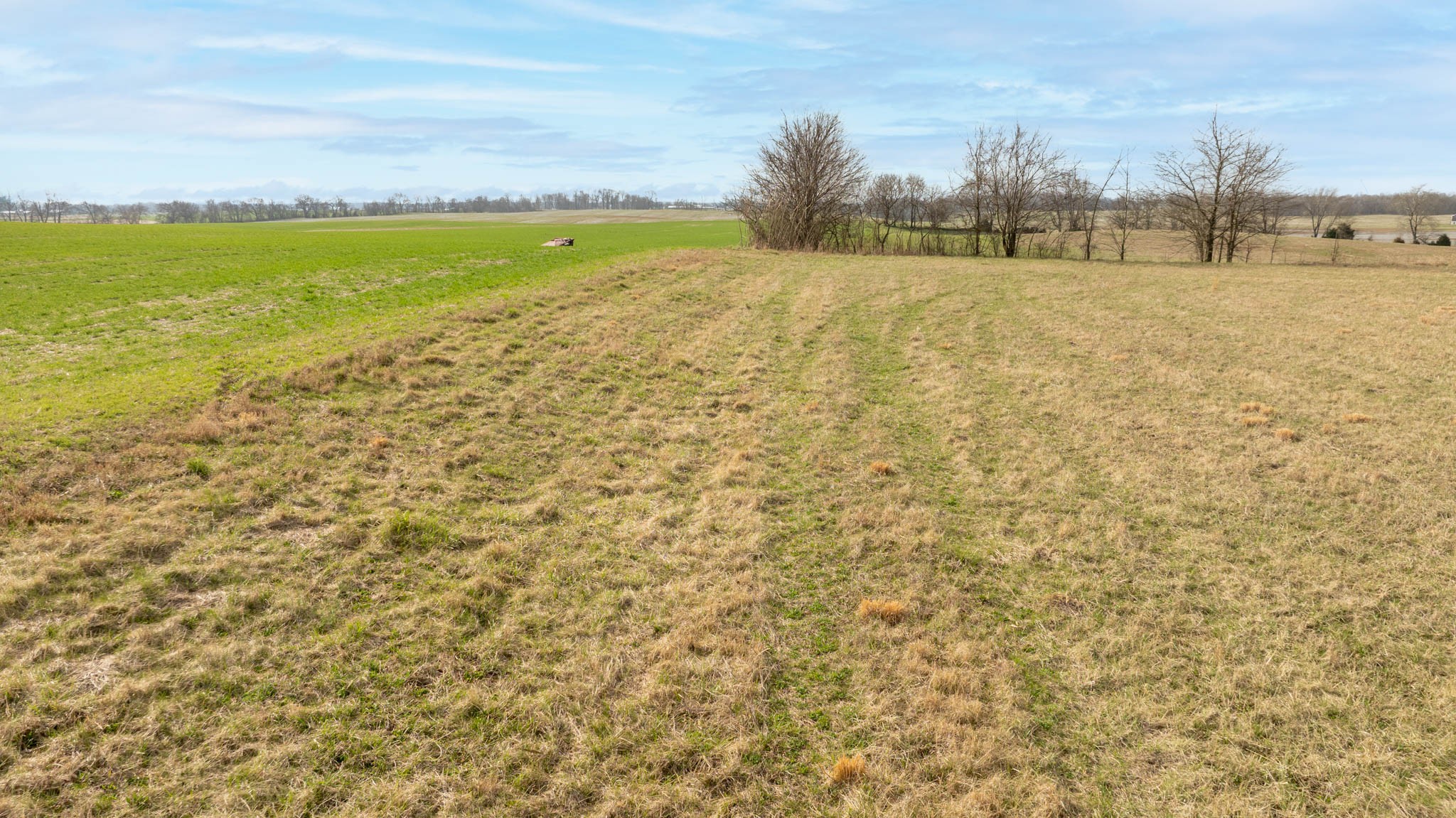 5561 Borthick Road Springfield, TN 37172 - Photo 15 of 28