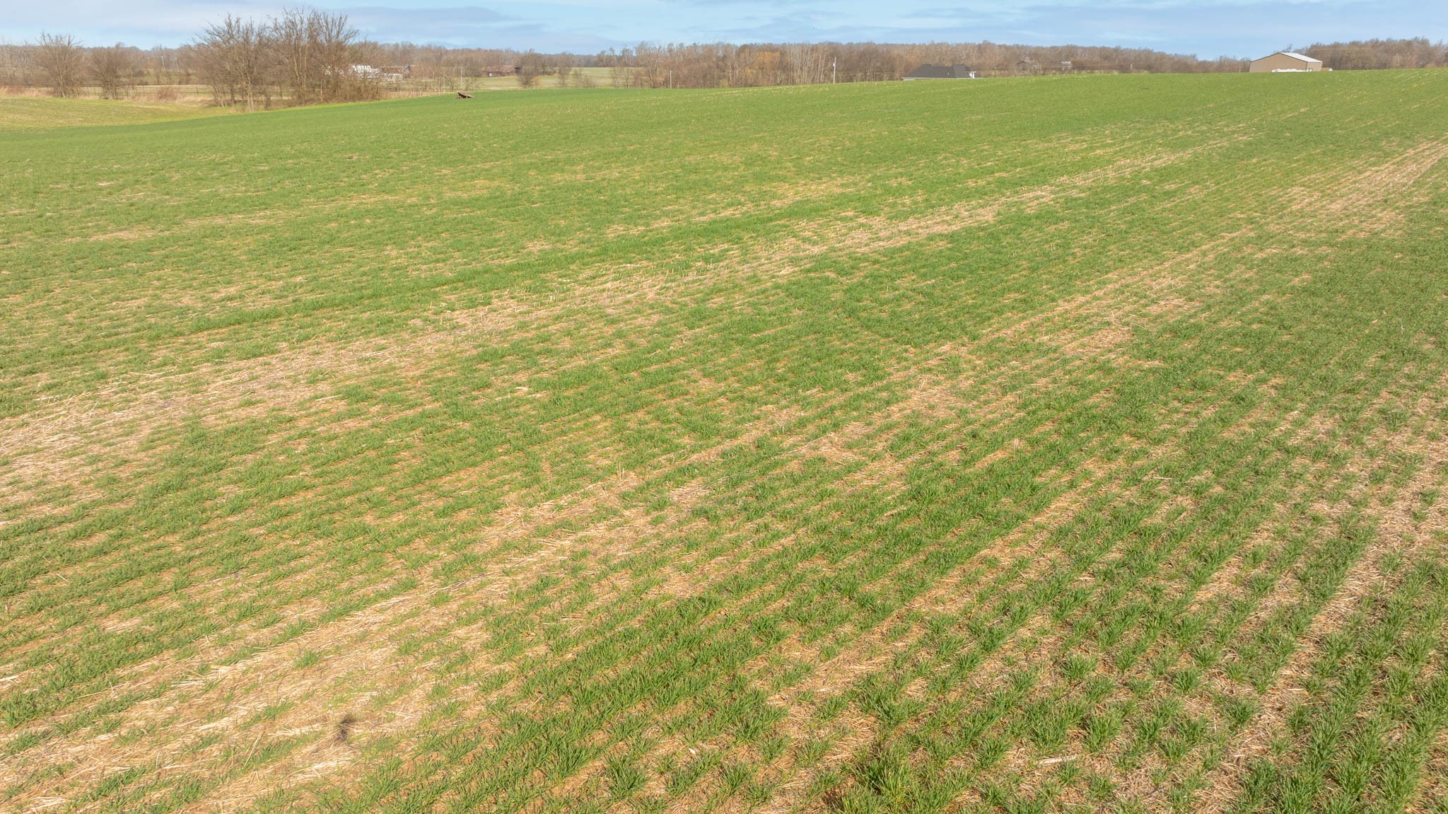 5561 Borthick Road Springfield, TN 37172 - Photo 16 of 28