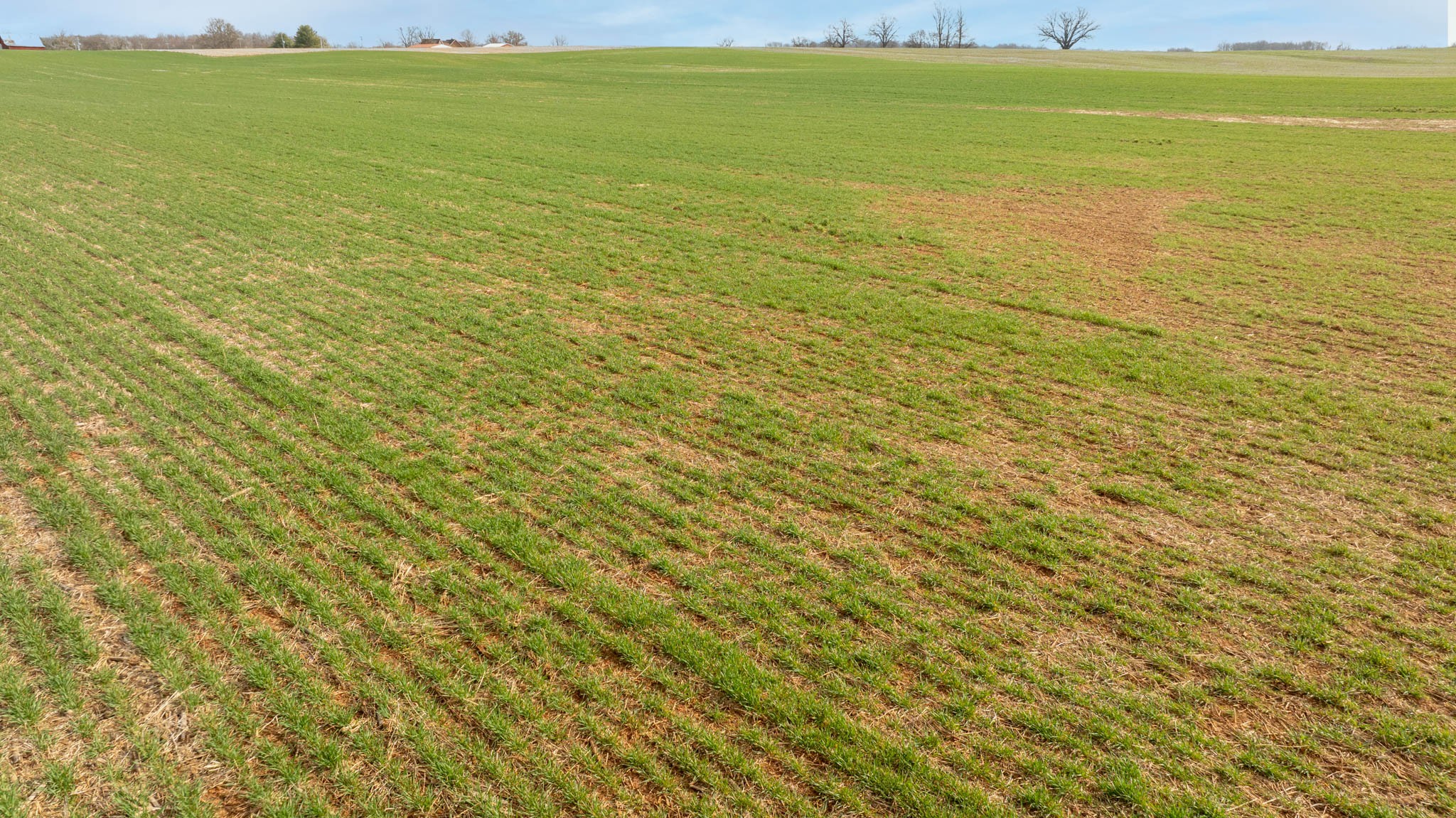 5561 Borthick Road Springfield, TN 37172 - Photo 17 of 28