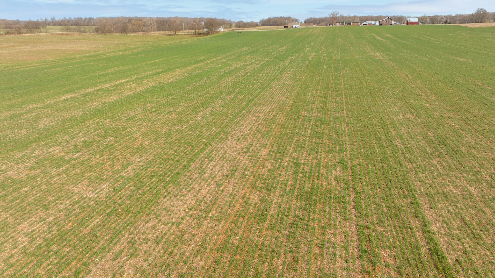 5561 Borthick Road Springfield, TN 37172 - Photo 18 of 28