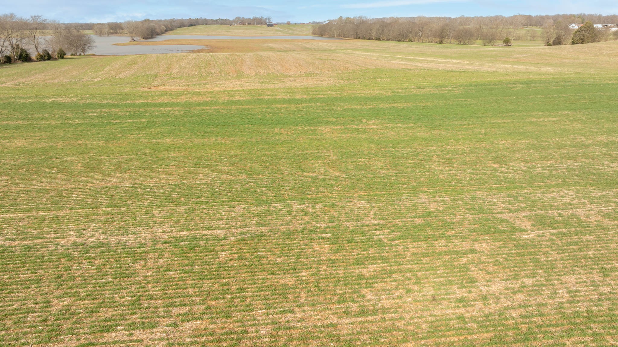 5561 Borthick Road Springfield, TN 37172 - Photo 19 of 28