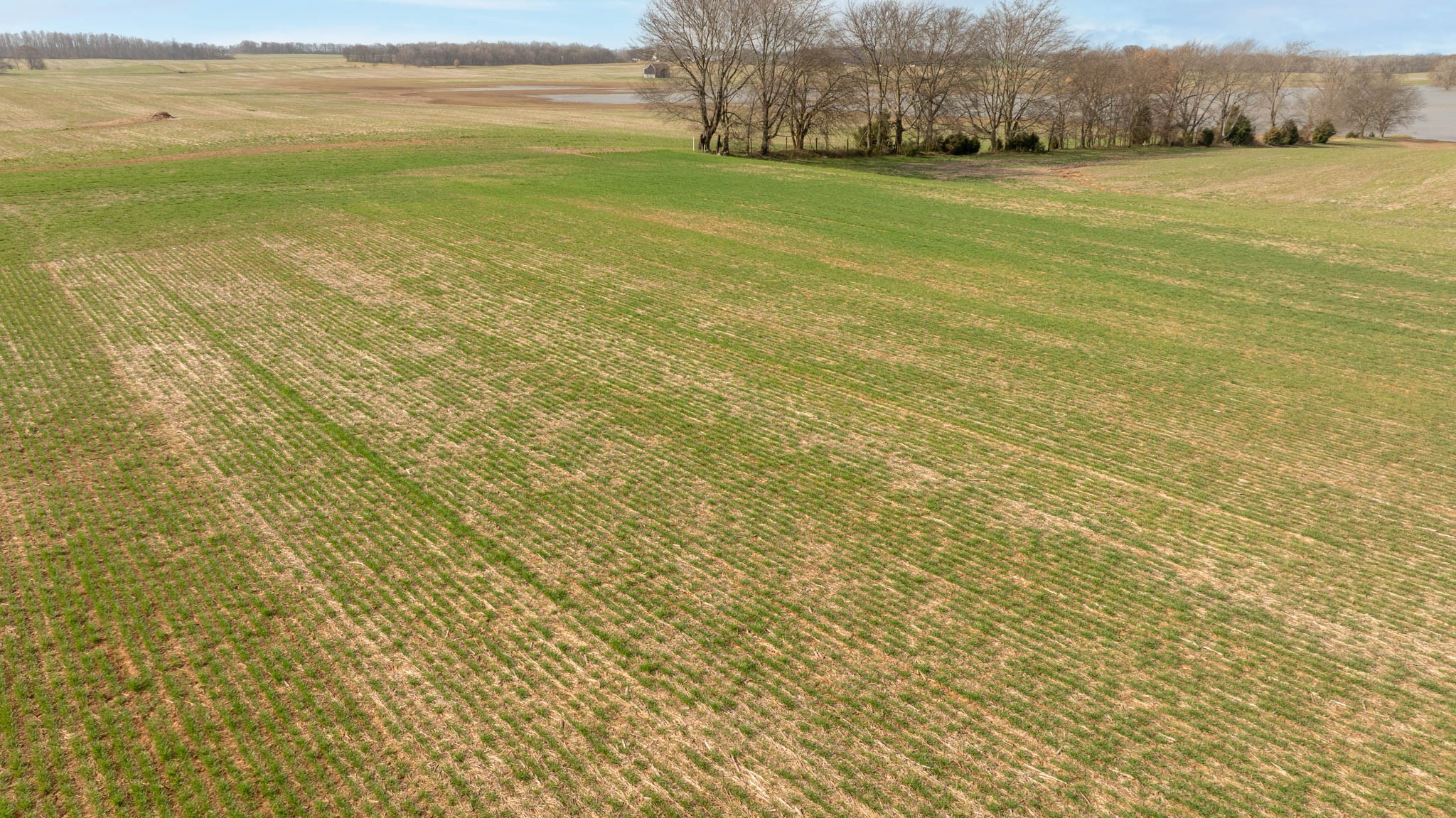 5561 Borthick Road Springfield, TN 37172 - Photo 20 of 28