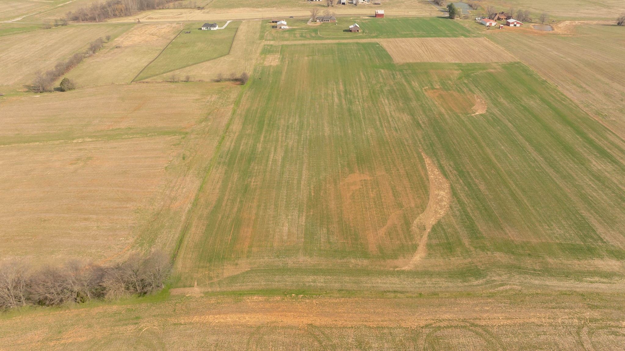 5561 Borthick Road Springfield, TN 37172 - Photo 21 of 28