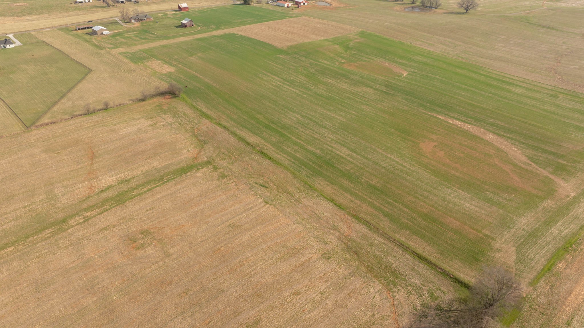 5561 Borthick Road Springfield, TN 37172 - Photo 22 of 28