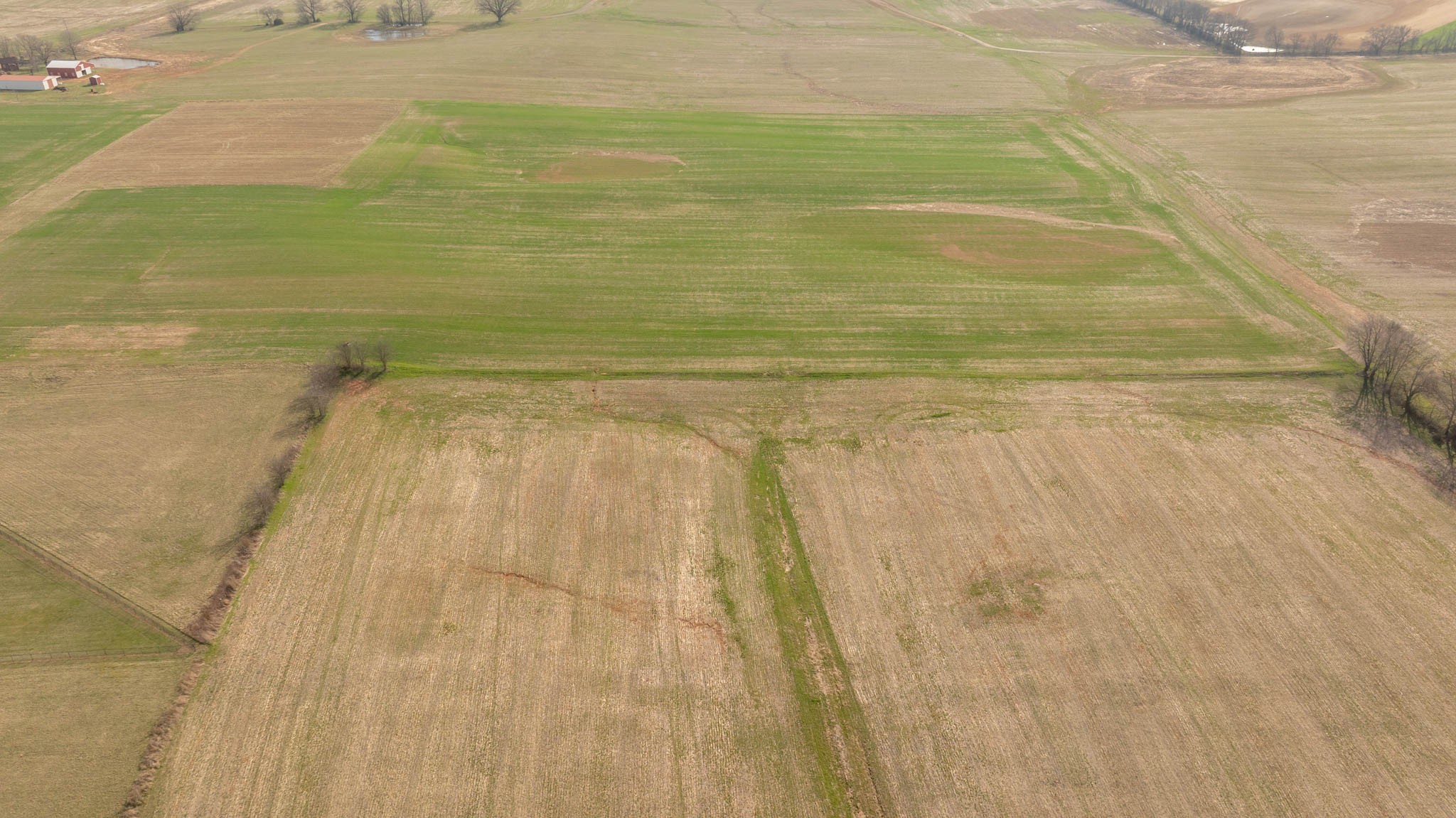 5561 Borthick Road Springfield, TN 37172 - Photo 23 of 28