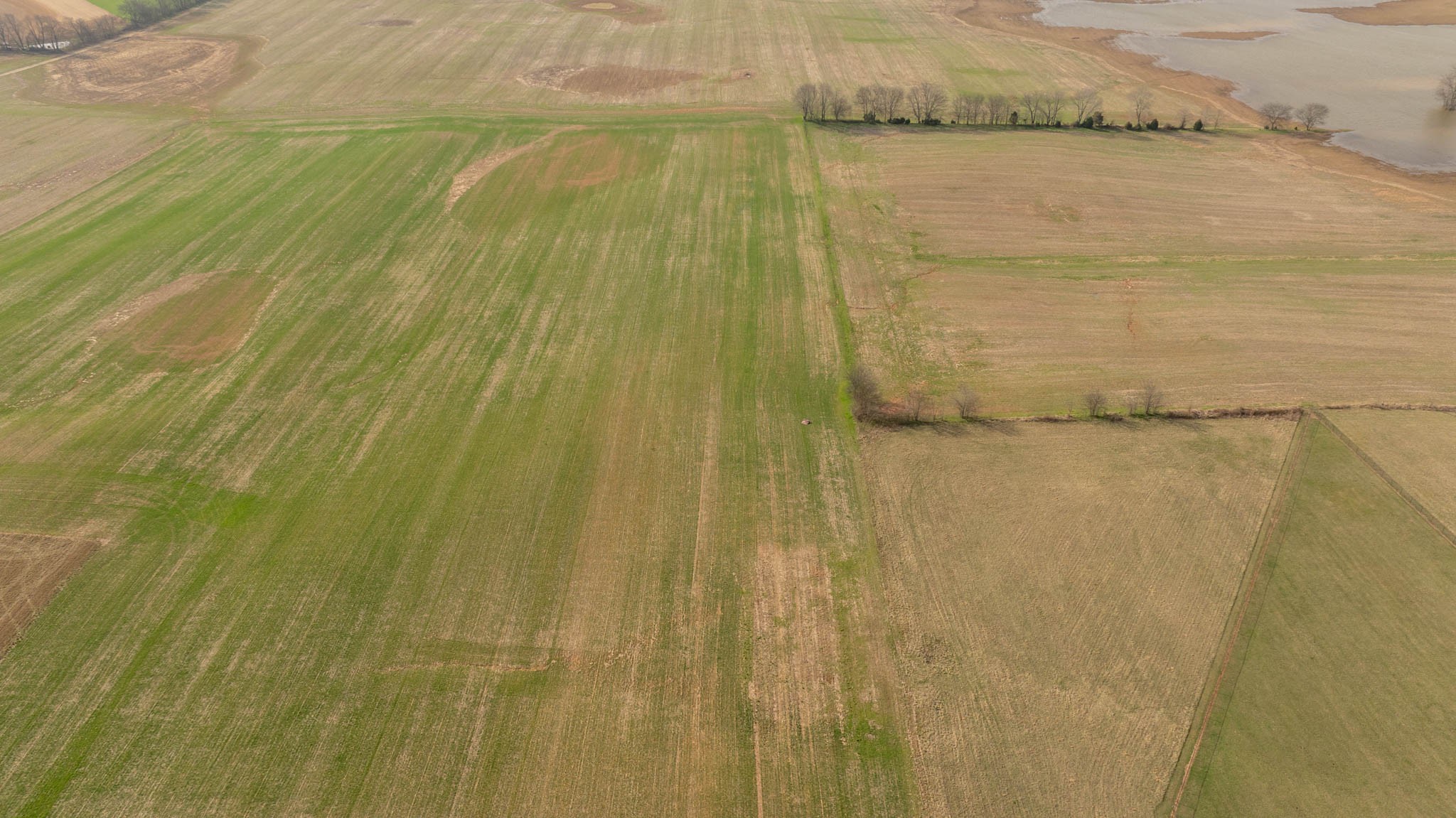 5561 Borthick Road Springfield, TN 37172 - Photo 24 of 28