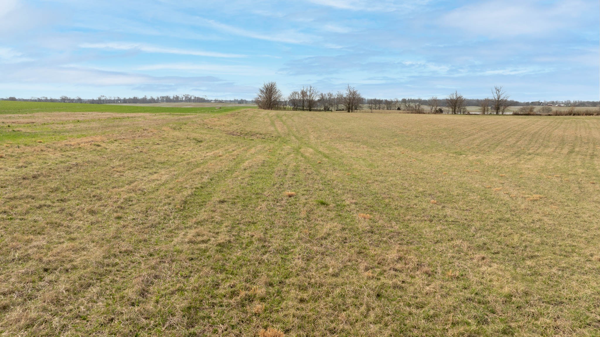 5561 Borthick Road Springfield, TN 37172 - Photo 4 of 28