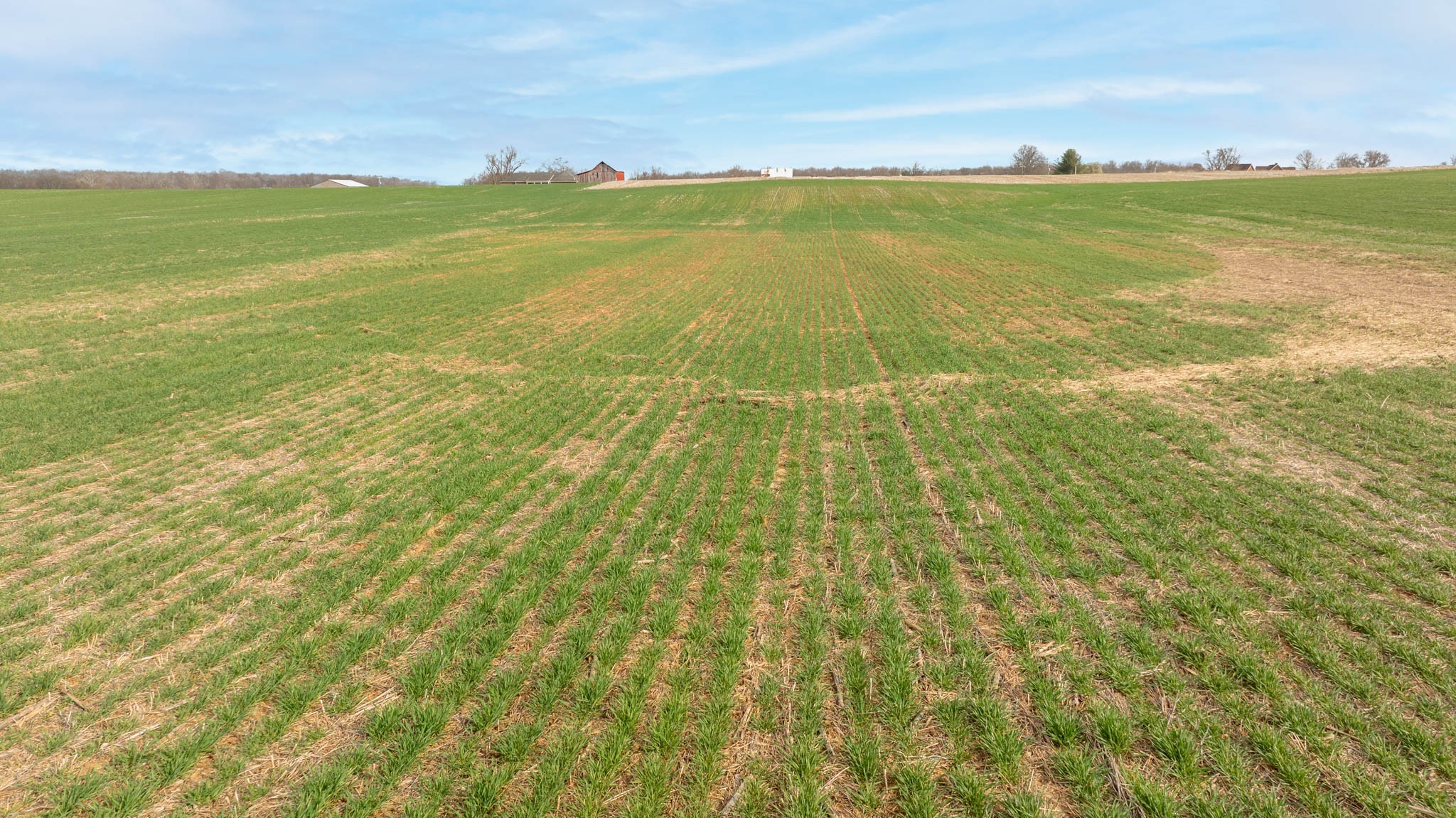 5561 Borthick Road Springfield, TN 37172 - Photo 5 of 28