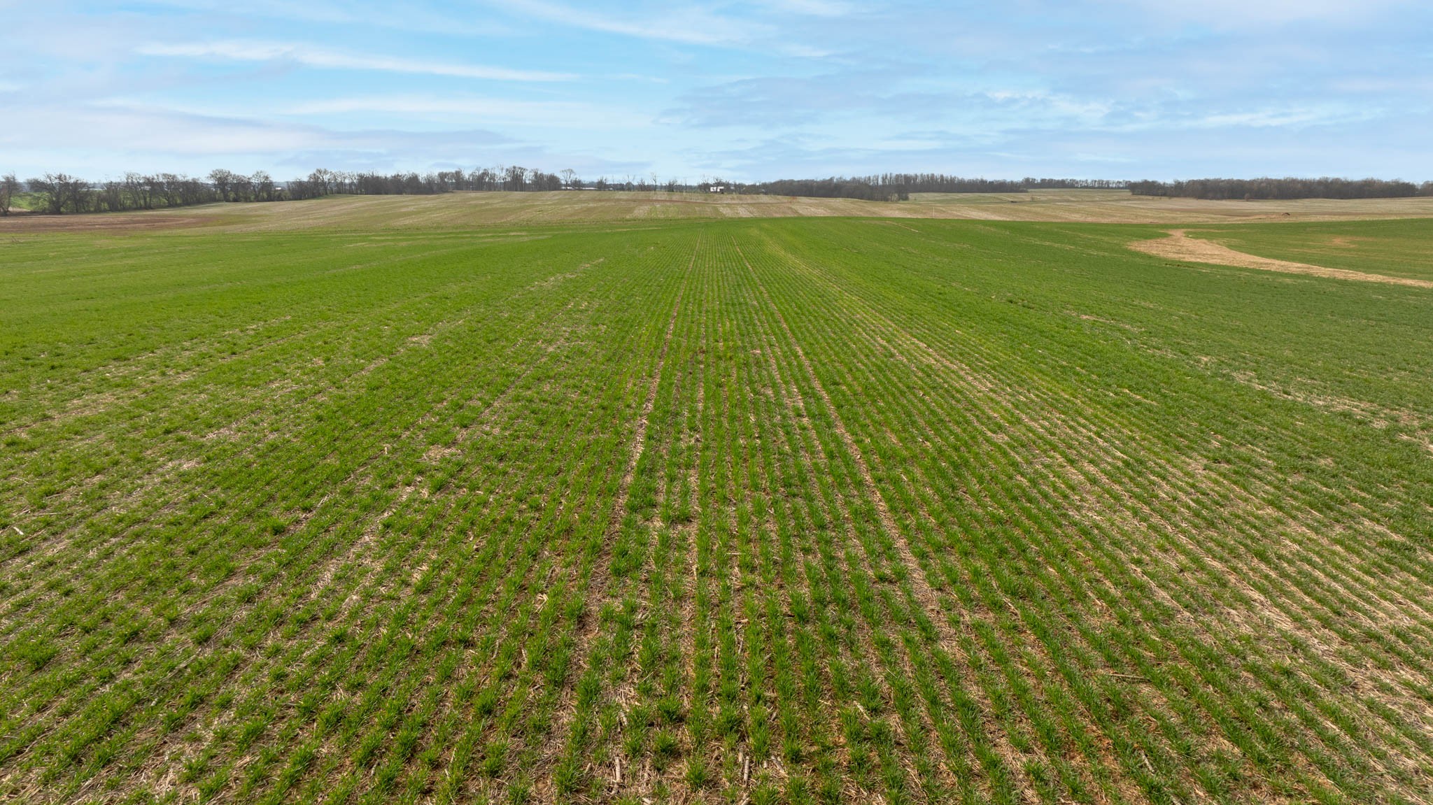 5561 Borthick Road Springfield, TN 37172 - Photo 6 of 28