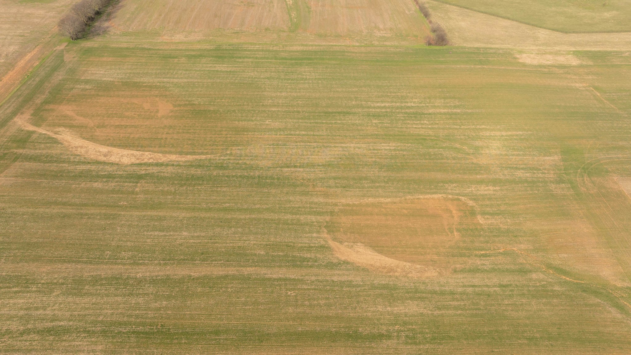 5561 Borthick Road Springfield, TN 37172 - Photo 7 of 28