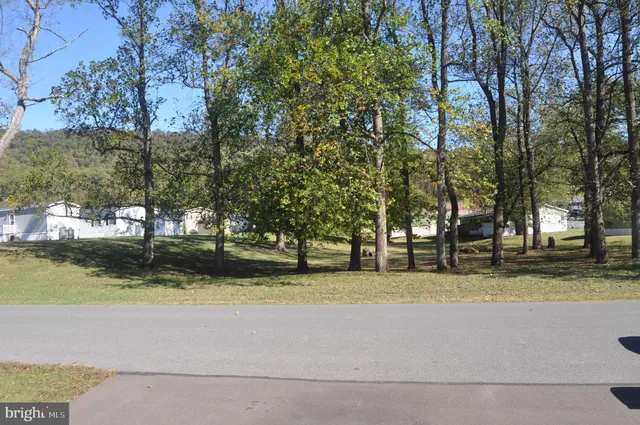 a view of swimming pool with trees in background