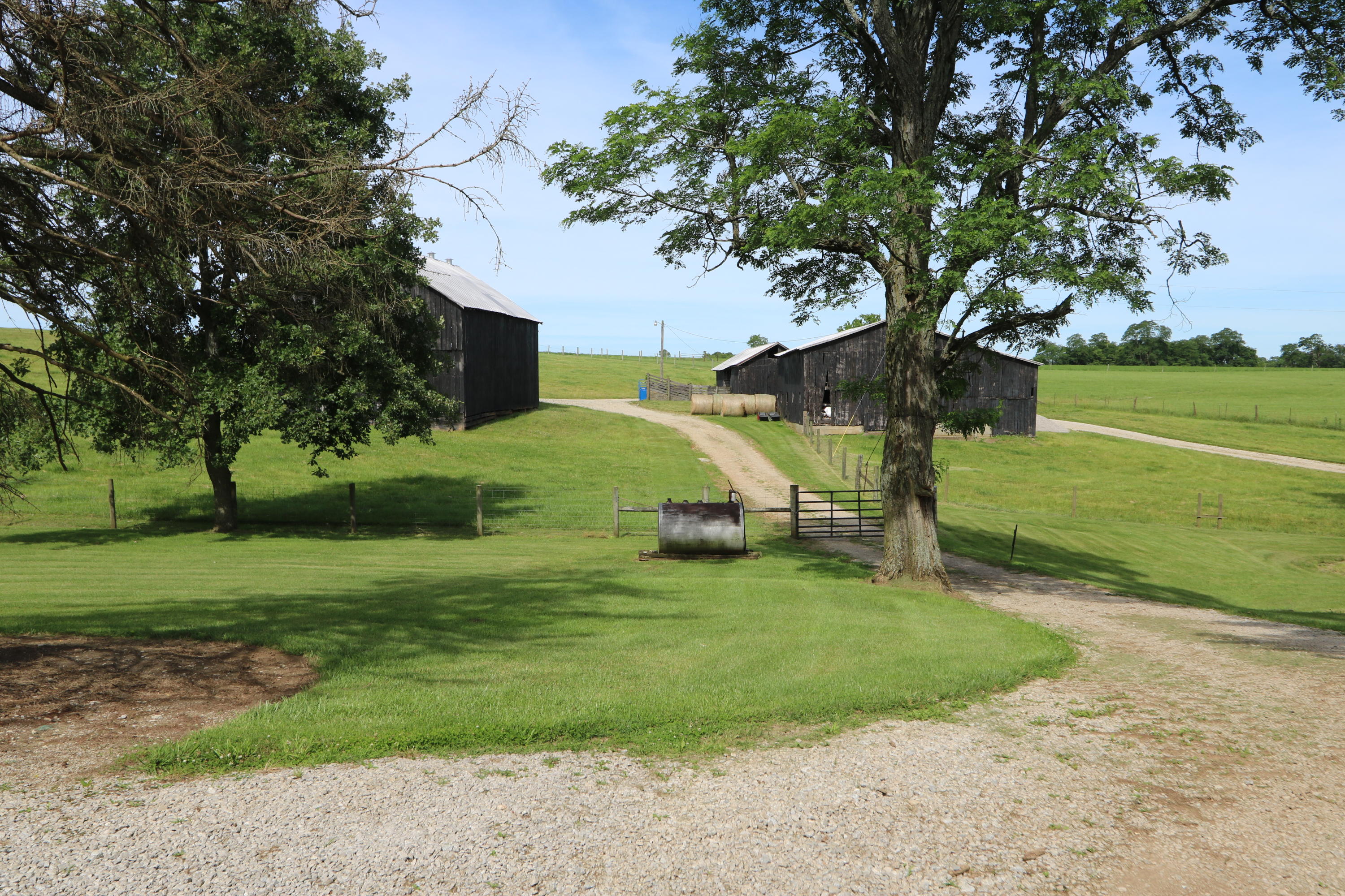1236 Jackstown Road Paris, KY 40361 - Photo 21 of 41 barnsfront