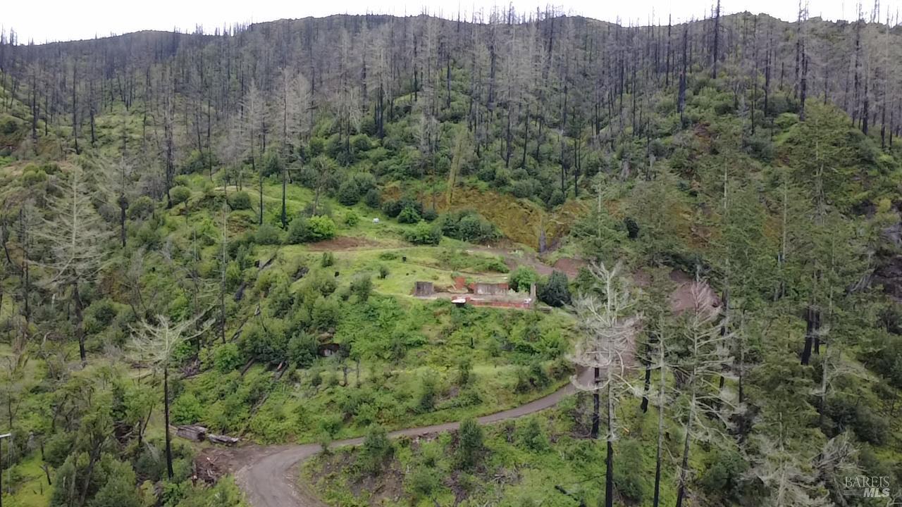 6670 Cougar Lane Santa Rosa, CA 95409 - Photo 6 of 21 a view of a lush green forest with trees and bushes