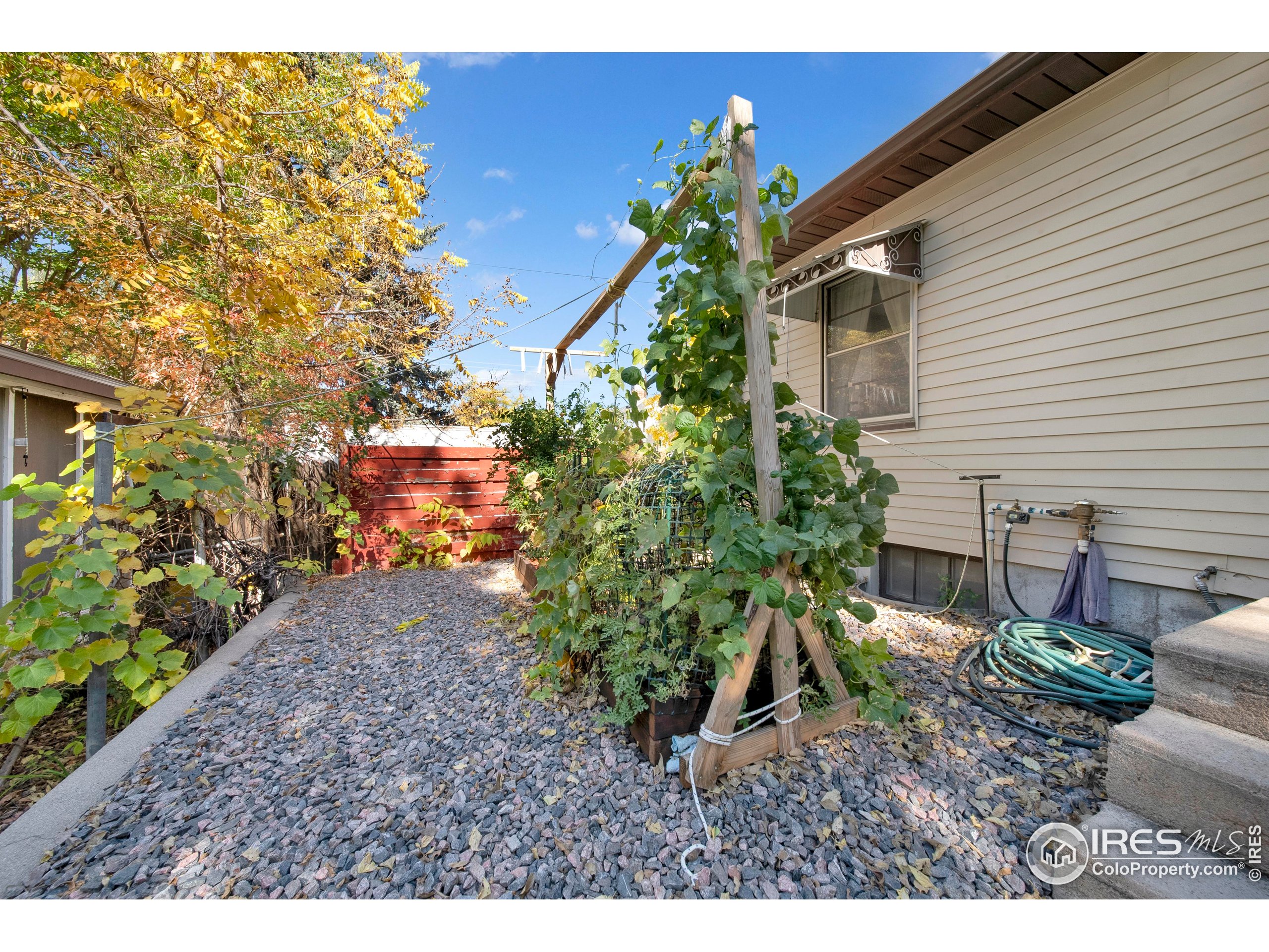 724 Carson Street Brush, CO 80723 - Photo 23 of 29 a backyard of a house with lots of green space