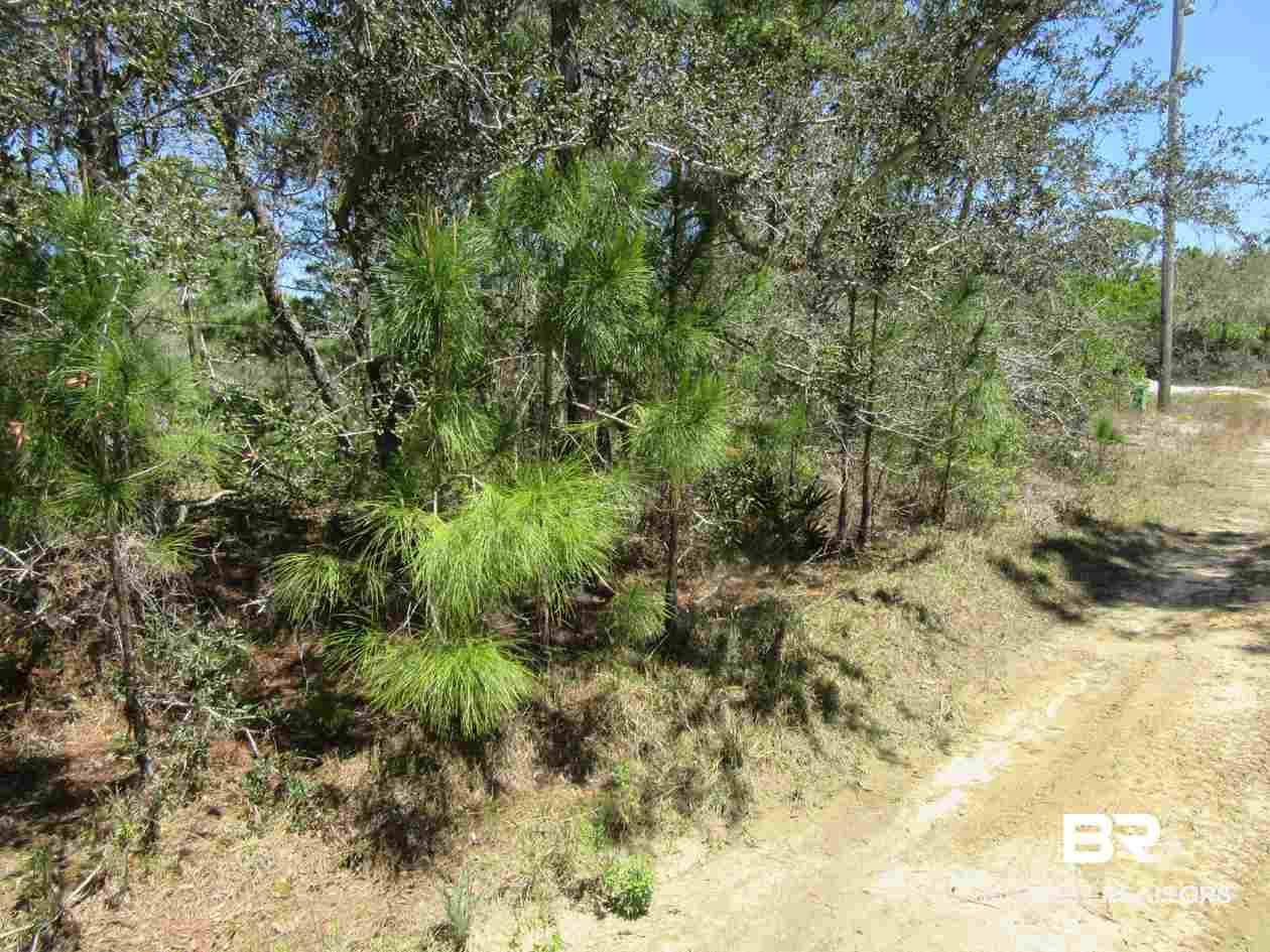 Zeanah Road Gulf Shores, AL 36542 - Photo 9 of 15