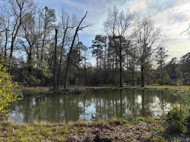 $139,900 | 24510 Highway 42, Holden, LA 70744