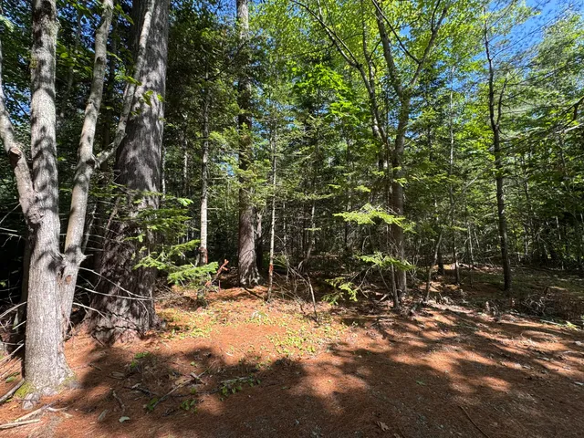 $80,000 | Lot 5 School Street, Belfast, ME 04915