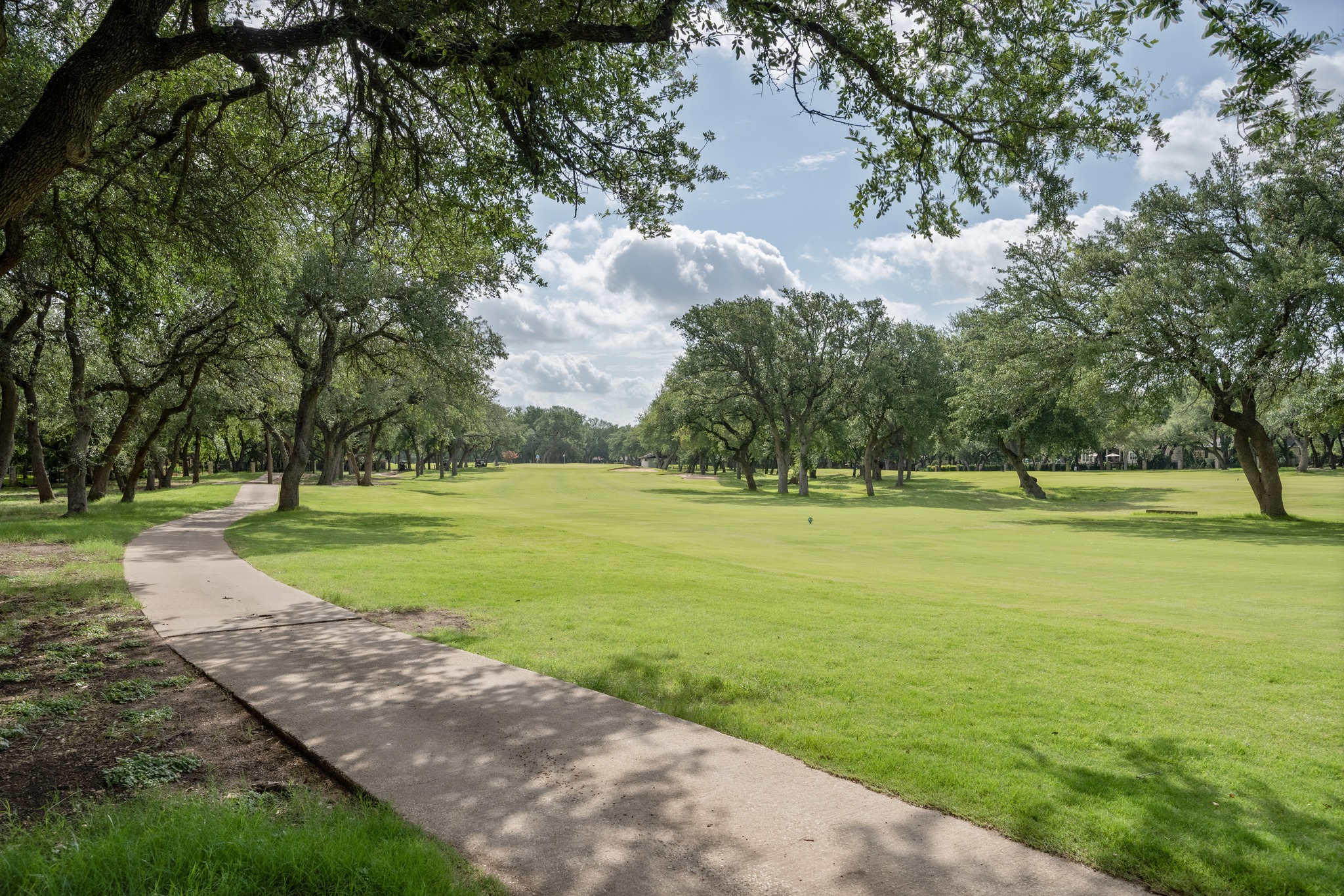29 Meadows End Georgetown, TX 78628 - Photo 32 of 38 a view of a park with large trees