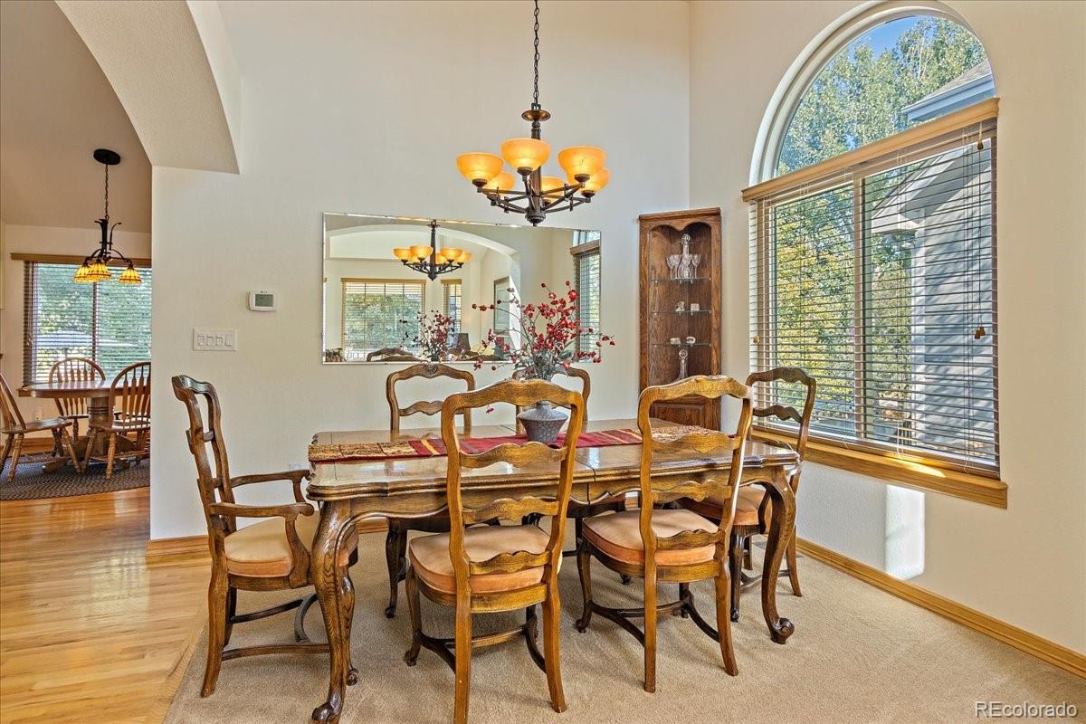 9834 Spring Hill Street Highlands Ranch, CO 80129 - Photo 6 of 34