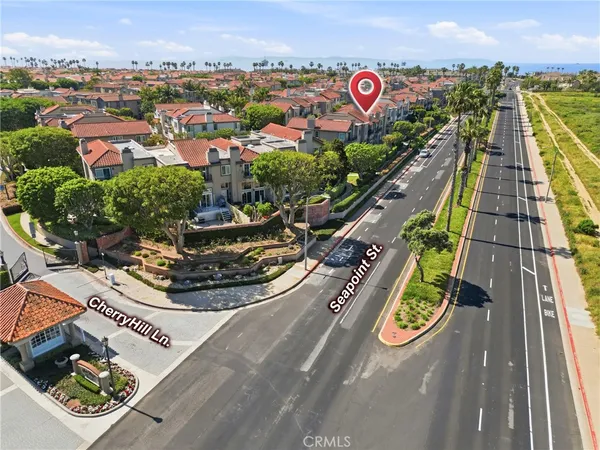 a view of a flower in a garden