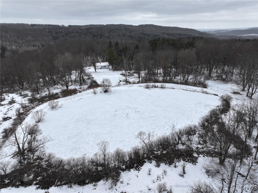 10020 Mclaughlin Road Machias, NY 14171 - Photo 1 of 49