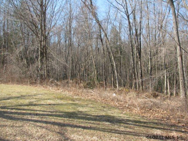 317 Lakeview Road Mayfield, NY 12117 - Photo 8 of 25 Photo 8