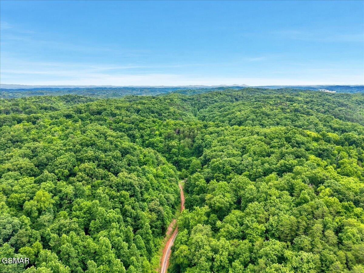 888 Baysinger Road Newport, TN 37821 - Photo 36 of 48 Gallery Image 36