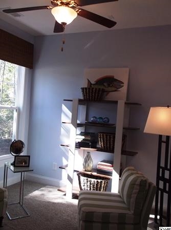 44 Parish Road Pawleys Island, SC 29585 - Photo 19 of 25 Gallery Image 19