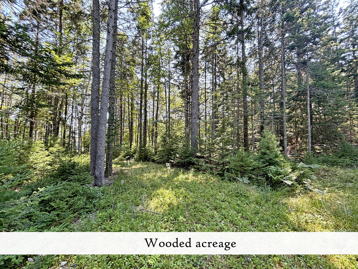607 Oak Point Road Trenton, ME 04605 - Photo 175 of 187 Wooded Acreage (2), label