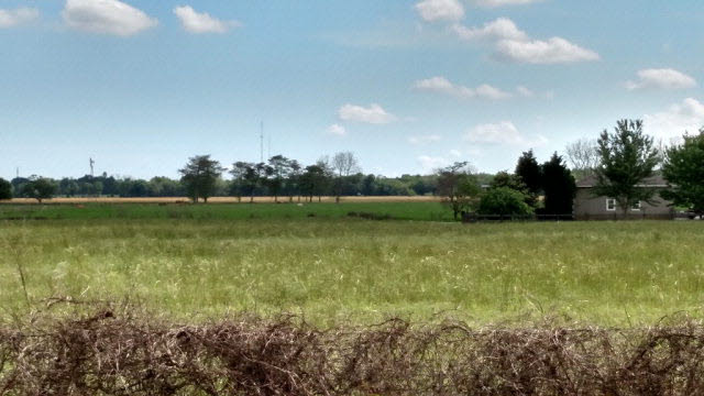 0 Thompson Road Robertsdale, AL 36567 - Photo 6 of 10