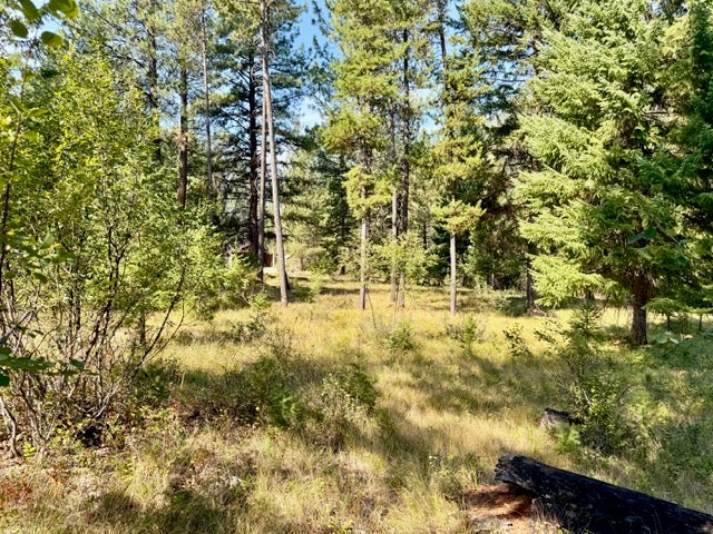 37 Big Horn Road Superior, MT 59872 - Photo 53 of 56 Gallery Image 53
