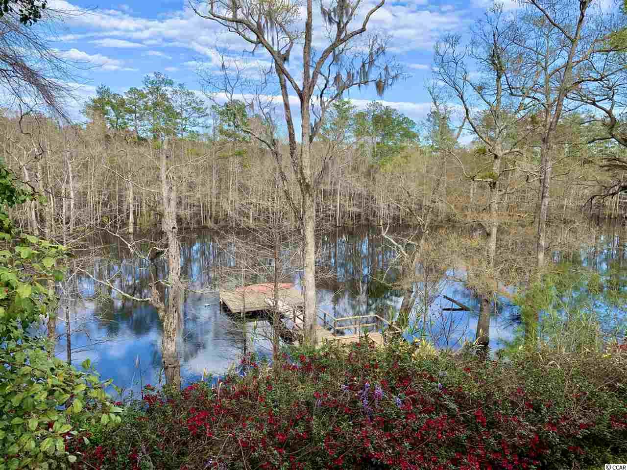 2215 Steep Landing Road Conway, SC 29526 - Photo 10 of 12 Gallery Image 10
