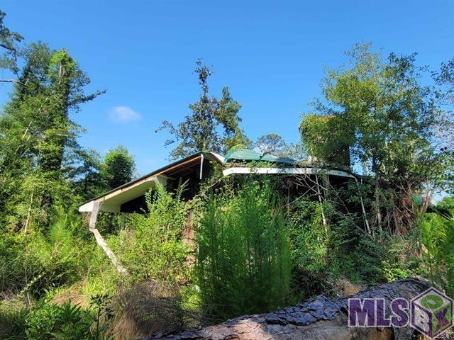 36727 Albin Road Independence, LA 70443 - Photo 7 of 7