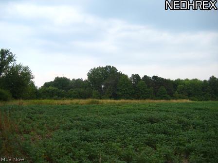 734 Akron Road Wadsworth, OH 44281 - Photo 9 of 20 Gallery Image 9