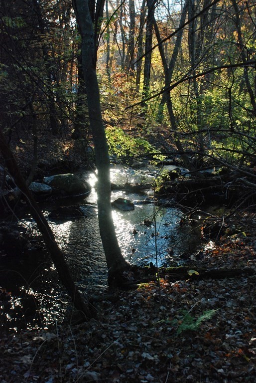 2 Ledge Road Chelmsford, MA 01863 - Photo 8 of 40