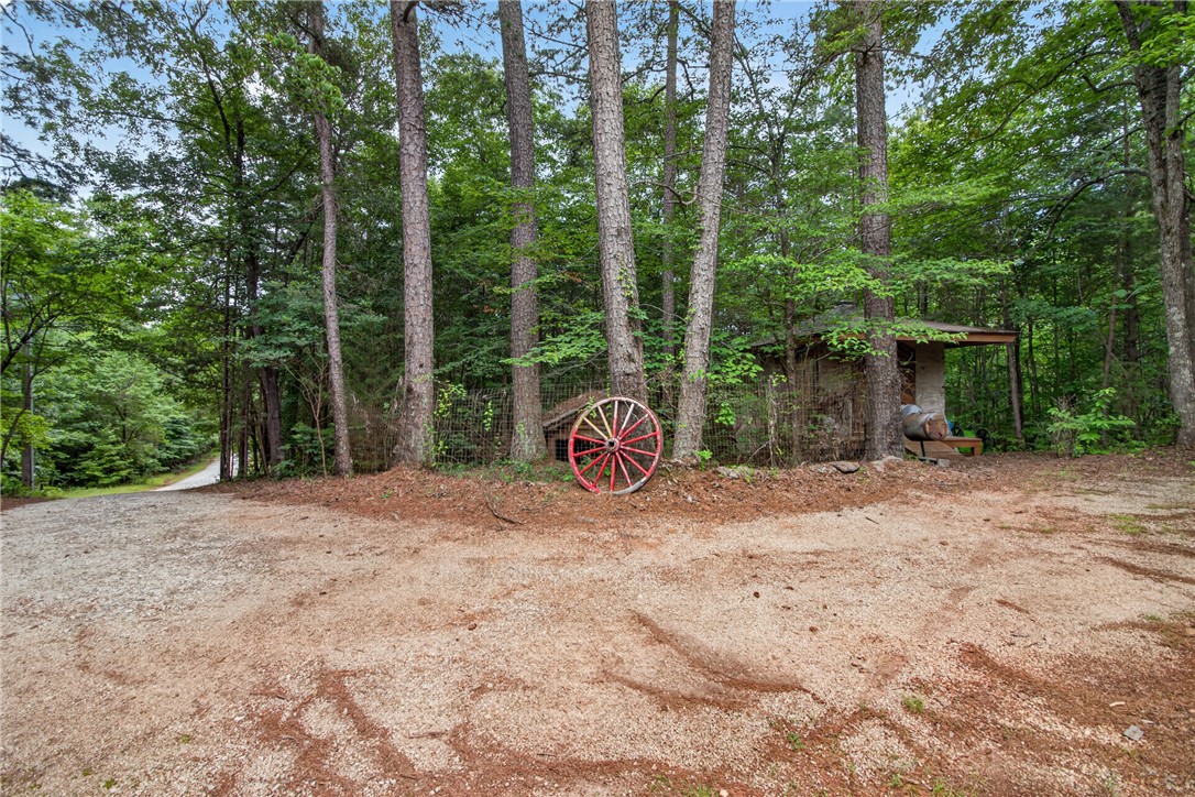 130 Maggie Rufus Lane Westminster, SC 29693 - Photo 36 of 50 Discover a tranquil, wooded lot featuring a rustic shed and a winding gravel driveway.