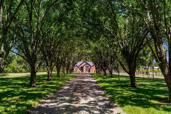 a view of park