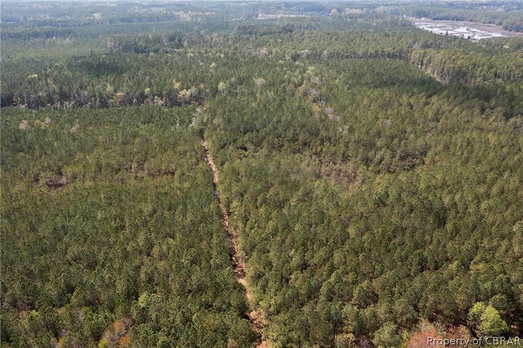 155-ac Bethel Beach Road Onemo, VA 23130 - Photo 13 of 15