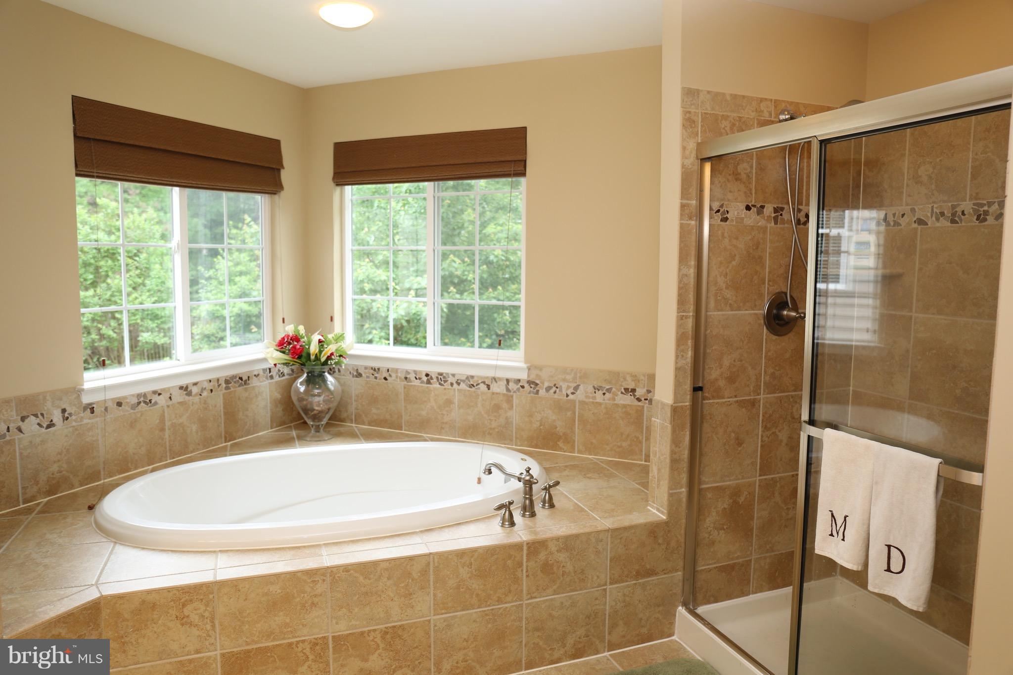 4955 Pale Morning Dun Road Elkridge, MD 21075 - Photo 9 of 30 Bath (Master)