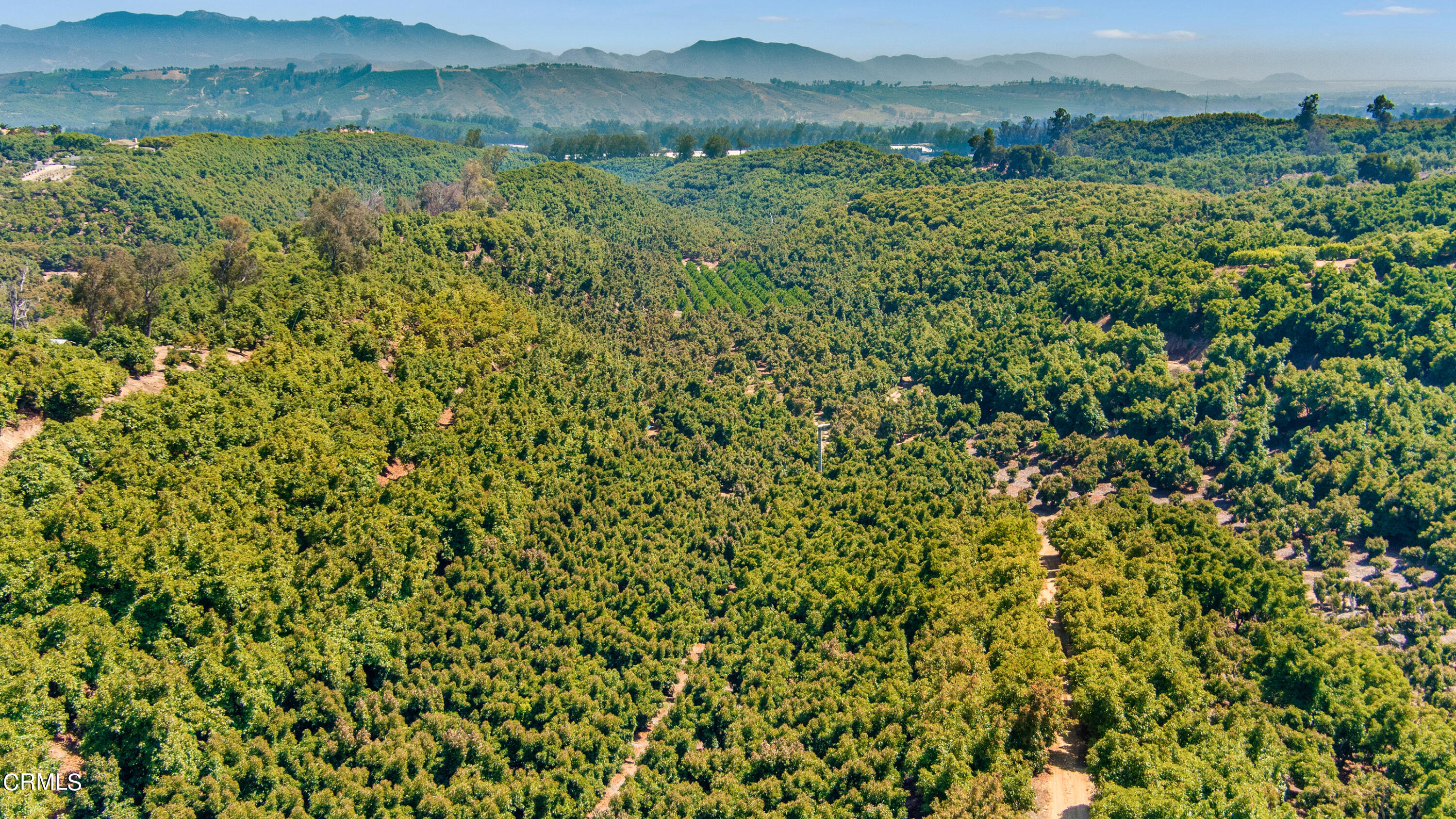 8191 Waters Road Moorpark, CA 93021 - Photo 11 of 13 a view of a lush green field