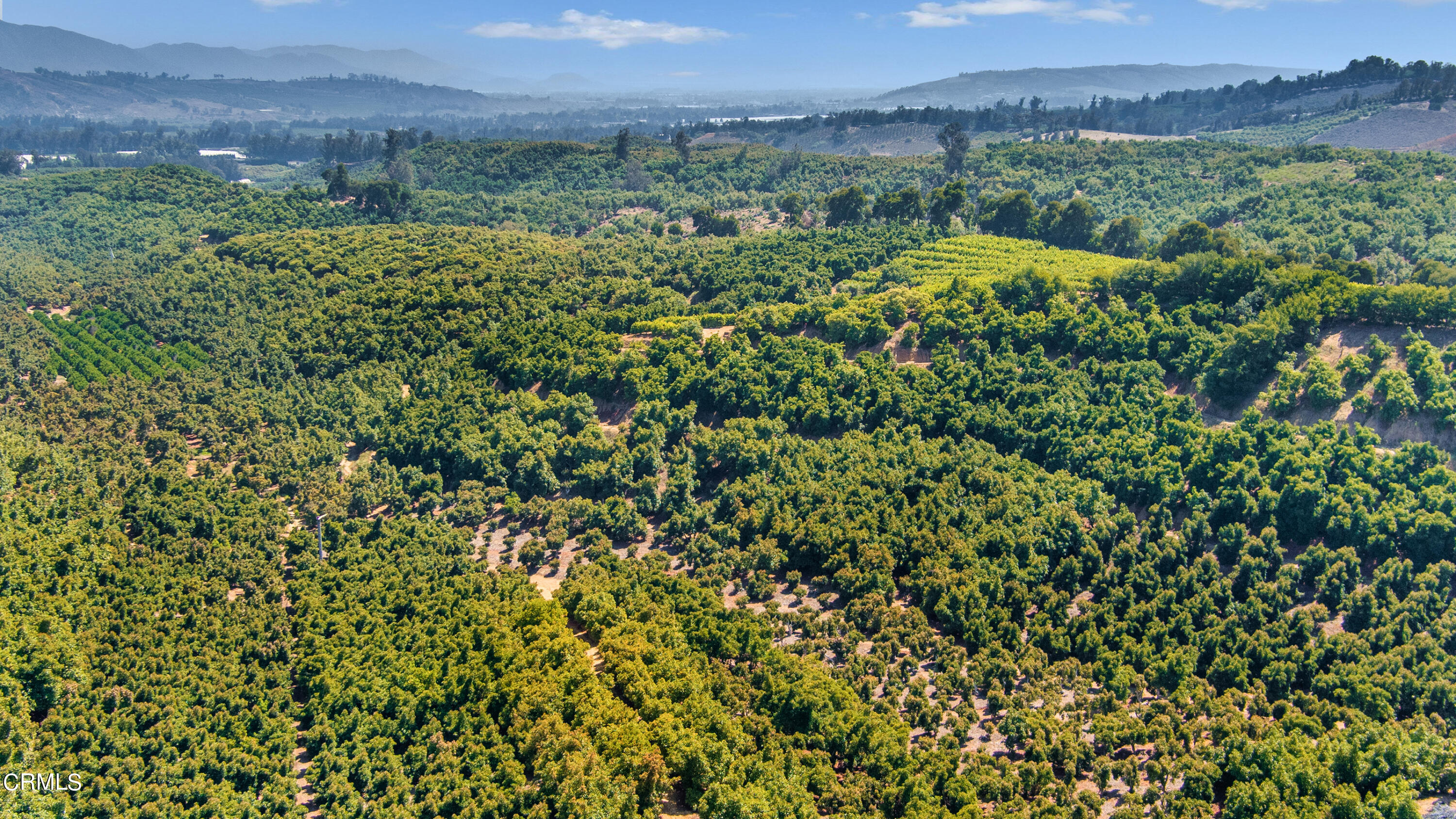 8191 Waters Road Moorpark, CA 93021 - Photo 12 of 13 a view of a lush green field with lots of bushes