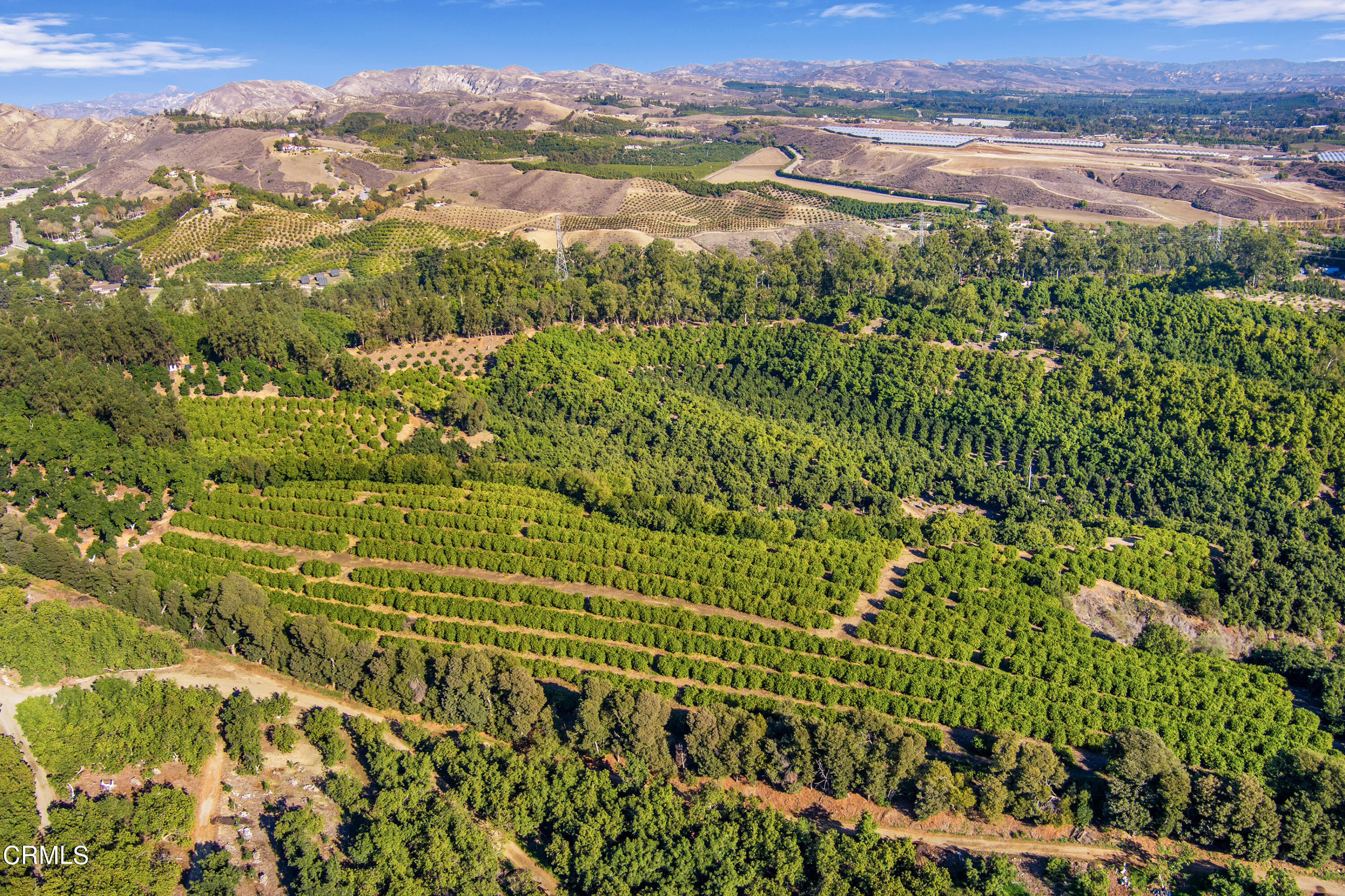 8191 Waters Road Moorpark, CA 93021 - Photo 7 of 13 an aerial view of residential houses with outdoor space and trees