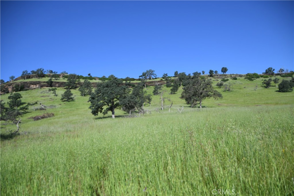 0 Cobble Creek Road Oroville, CA 95965 - Photo 24 of 55 a view of a grassy field with two trees