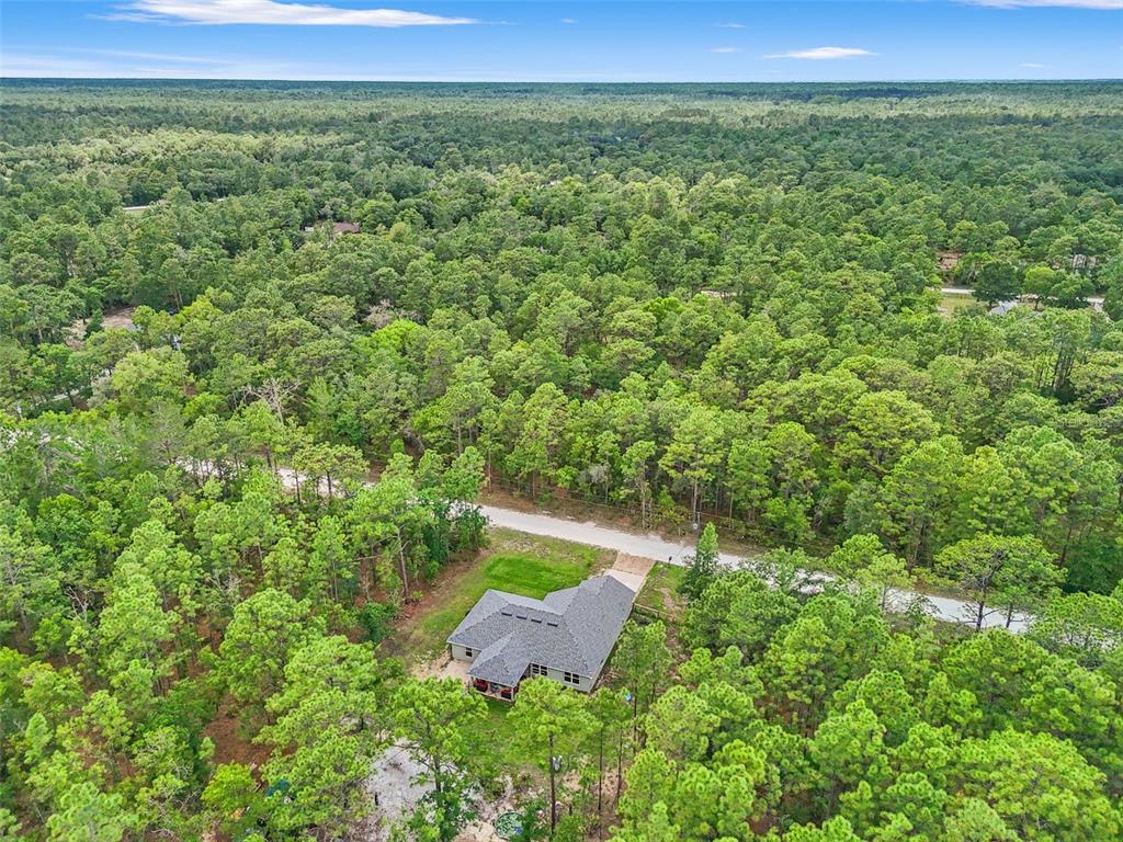 18336 Macek Road Weeki Wachee, FL 34614 - Photo 48 of 49