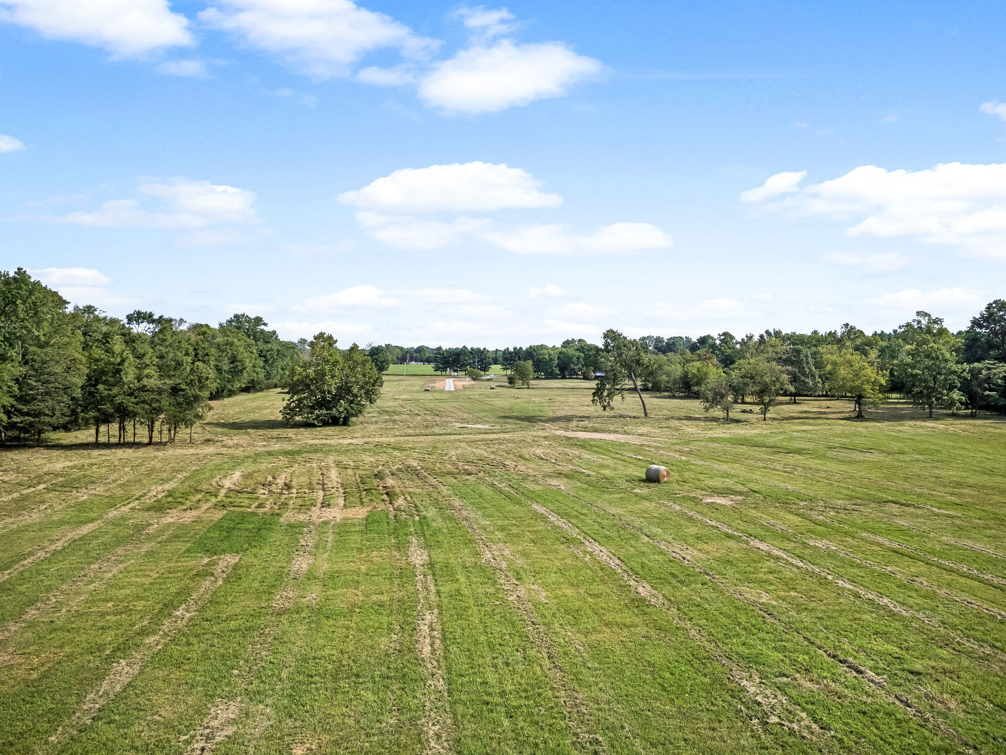 1363 Walnut Grove Road Christiana, TN 37037 - Photo 12 of 15 Gallery Image 12