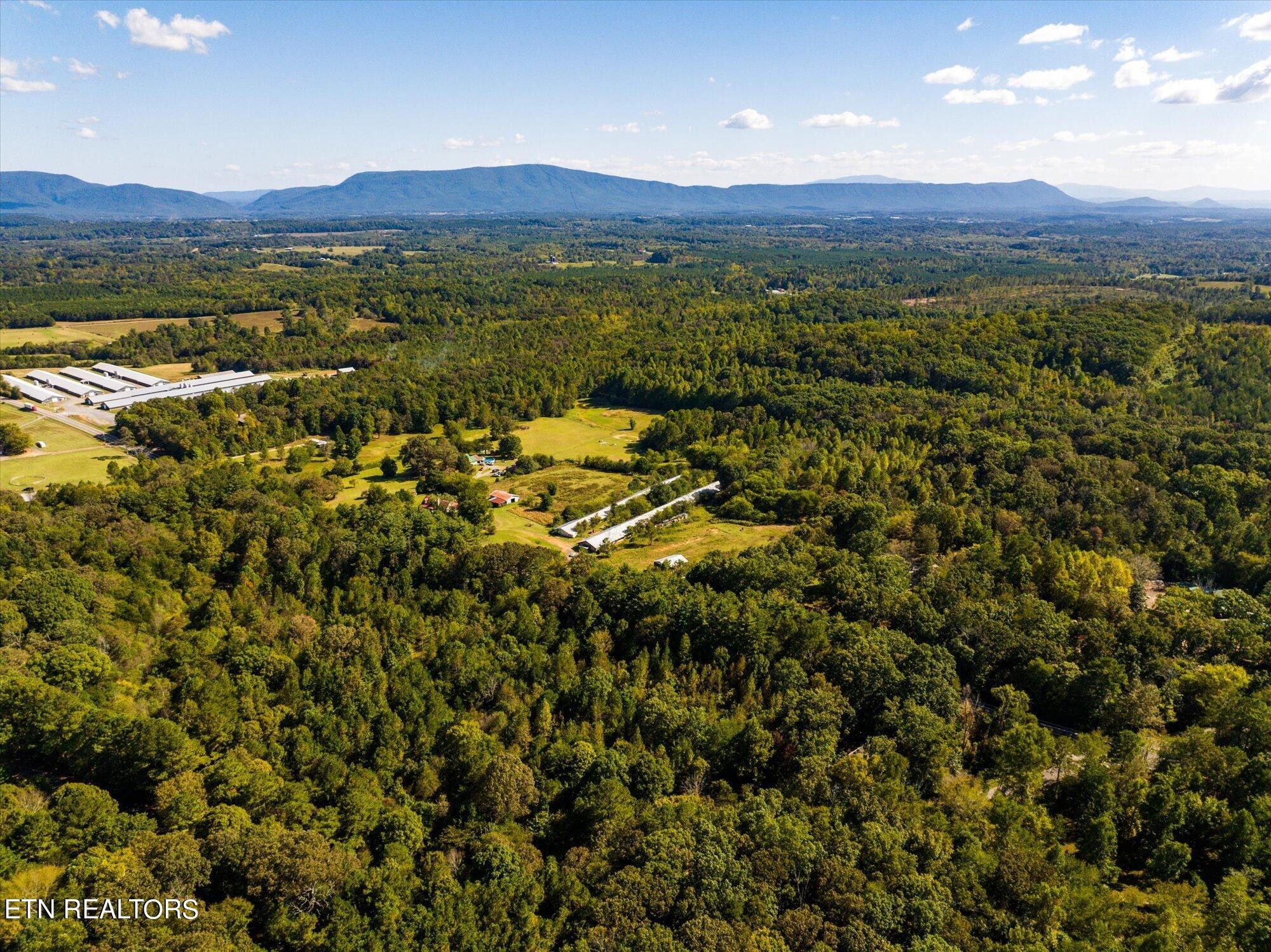0 County Road 961 Riceville, TN 37370 - Photo 11 of 16 Gallery Image 11